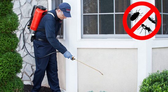 Yurdoğlu Fare İlaçlama böcek ilaçlama ve haşere kontrolü — ilaclama-tr.com